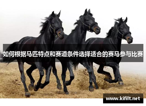 如何根据马匹特点和赛道条件选择适合的赛马参与比赛